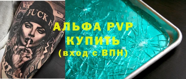 прущие грибы Вяземский