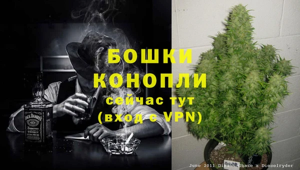 прущие грибы Вяземский