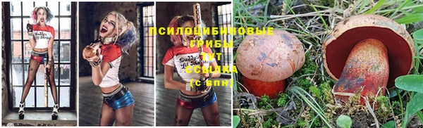 прущая мука Вязники